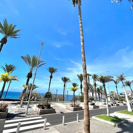 Silver & Brownie, Veracruz Sunset * Playa de las Americas (Tenerife)
