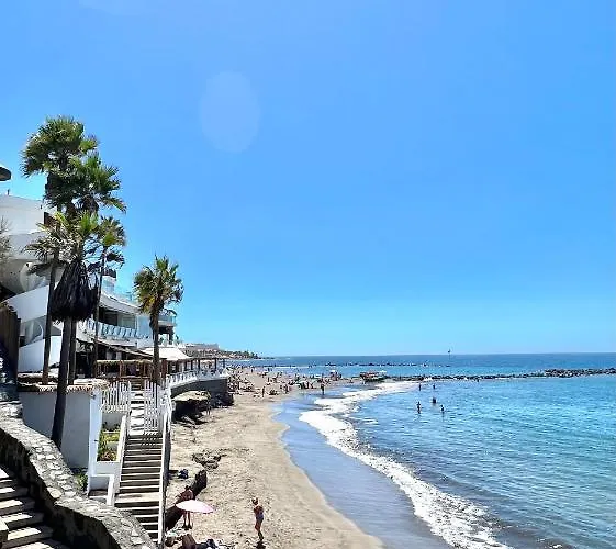 Silver & Brownie, Veracruz Sunset 플라야데라스아메리카스