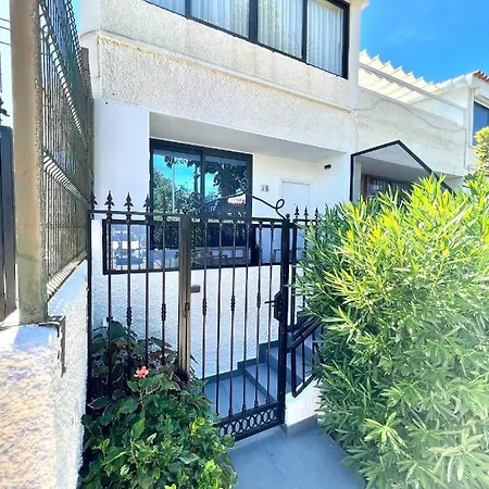 Silver & Brownie, Veracruz Sunset *