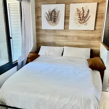 Silver & Brownie, Veracruz Sunset 美洲海滩