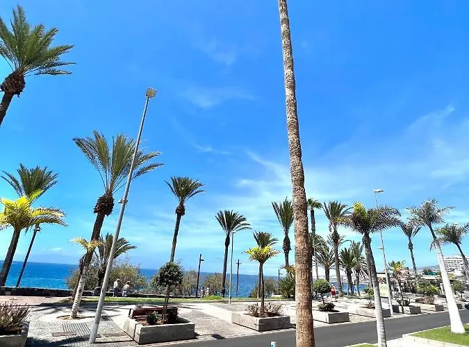 Silver&brownie, Veracruz Sunset * Playa de las Américas