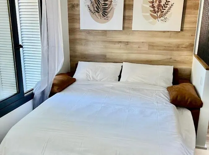 Silver & Brownie, Veracruz Sunset Playa de las Americas (Tenerife)